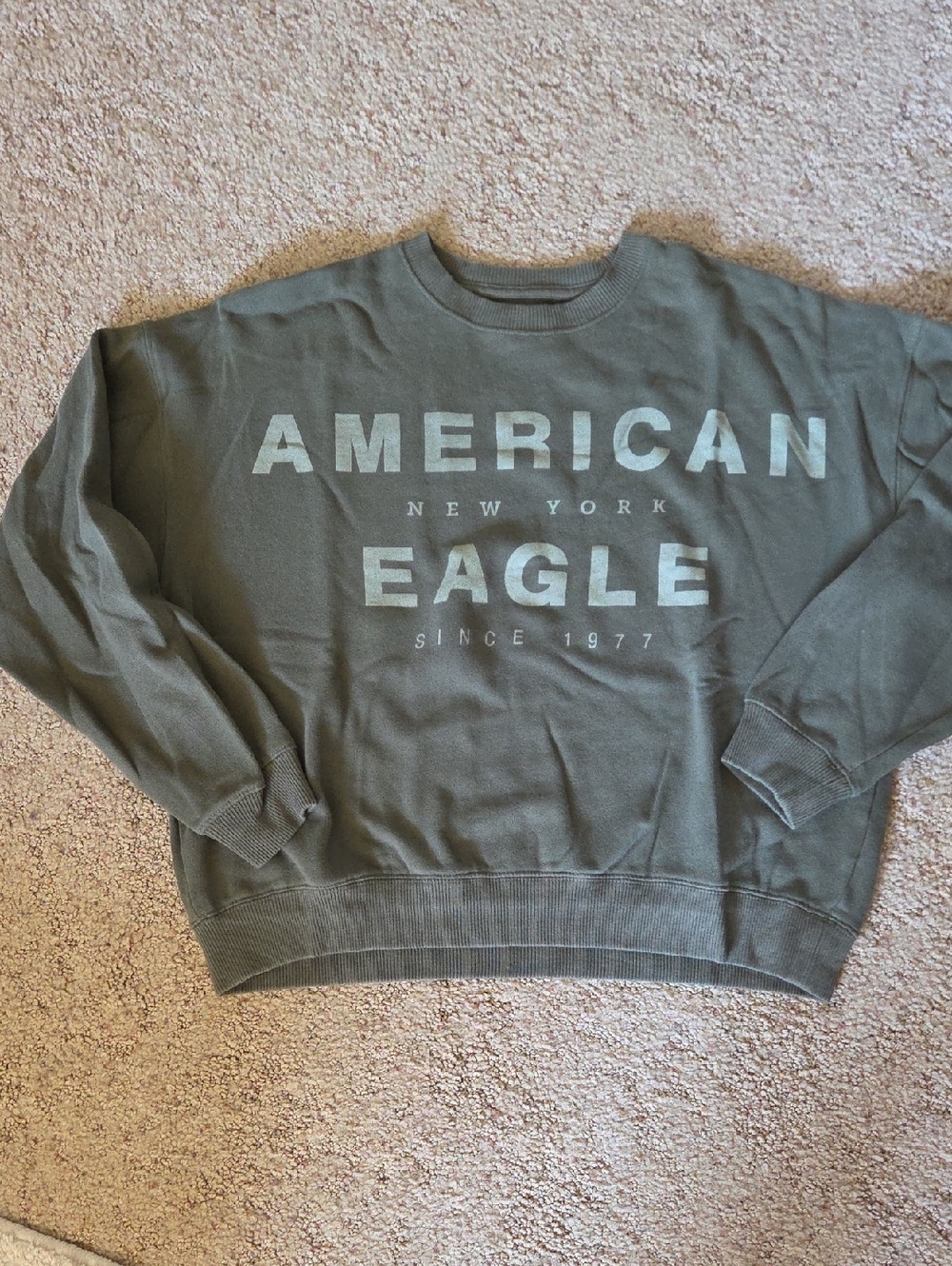 American Eagle Outfitters Olive Green Logo Crewneck Sweatshirt
